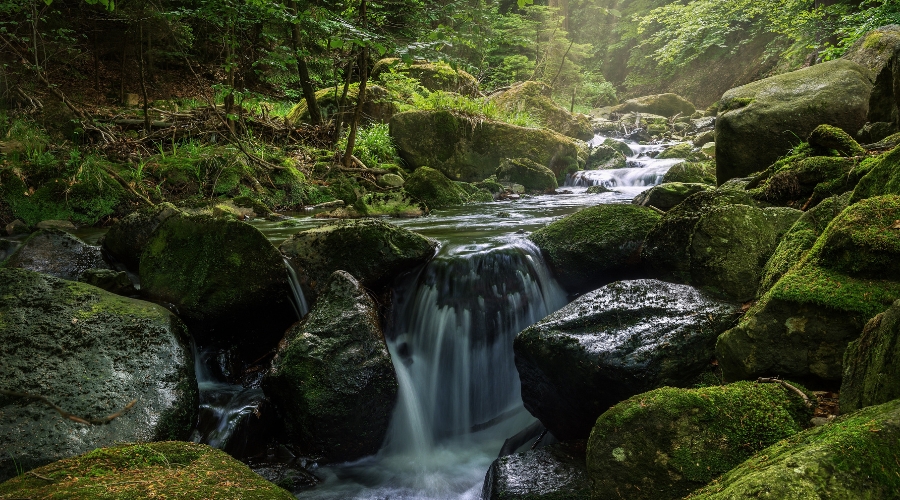 A cascading waterfall in a jungle setting.